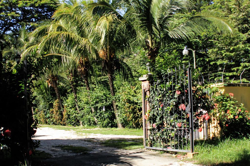 Hotel Isolina Beach Potrero  Exterior photo