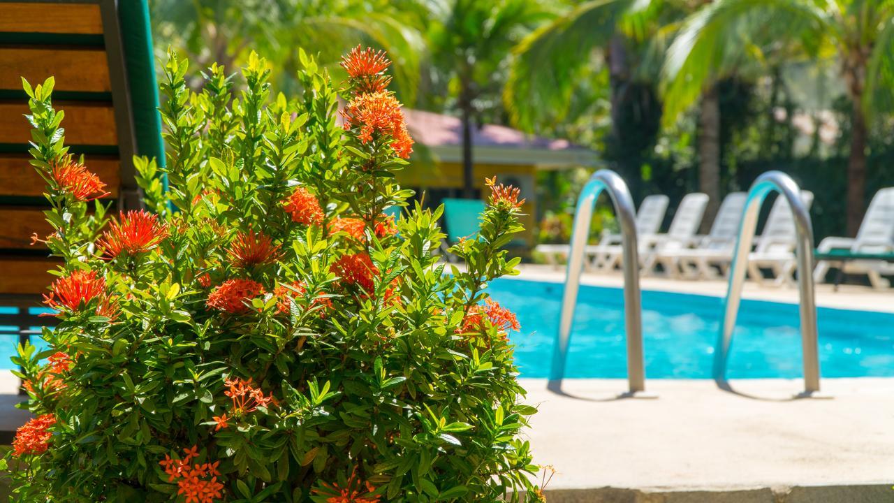Hotel Isolina Beach Potrero  Exterior photo